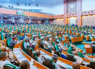 Senate considers six-year single term for president, governors after 2027 elections