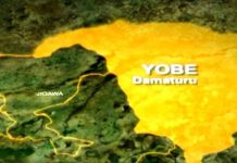Yobe approves N73.3bn for agriculture, roads, housing projects