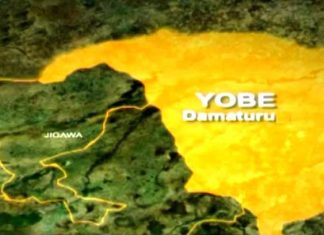 Yobe approves N73.3bn for agriculture, roads, housing projects