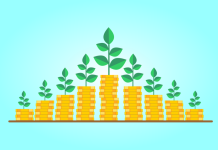 10 best performing balanced mutual funds in Nigeria — September 2026