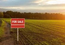 Five Errors To Avoid When Making Land Investments
