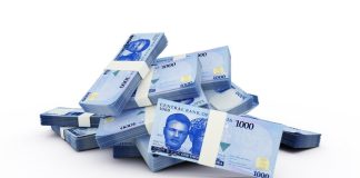 Naira Weakens At Official And Parallel Markets Despite Ongoing FX Intervention