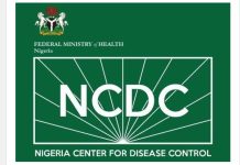Health Report: Lassa Fever Outbreak Claims 31 Lives In Five Weeks