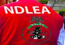 Cornerstone Insurance Foundation donates solar borehole to NDLEA