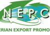 NEPC dismisses strike reports, says staff remain at work