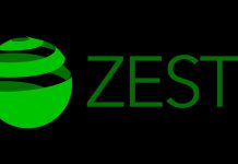 Zest: Transforming Business Payments with Tailored Solutions