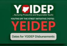 How To Win The YEIDEP ₦500,000 Business Grant: Step-by-Step Guide For Nigerian Youths