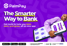 Five Smart Ways Nigerians Use PalmPay Every Day