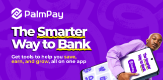 Five Smart Ways Nigerians Use PalmPay Every Day