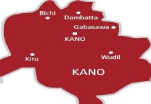 Kano Approves ₦8.2bn For Education, Water, And Energy Projects