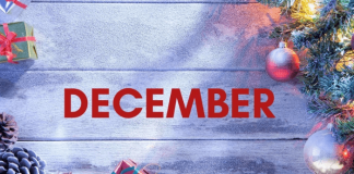 Thursday Chronicles: December Has Entered The Chat (Again)