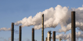 Manufacturing Growth Slows To 1.25% In Q3 2025