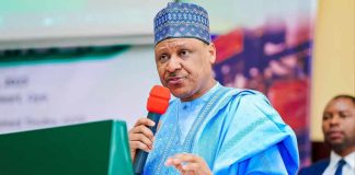 FG Designates Kidnappers, Bandits As Terrorists