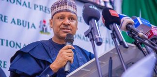 Nigeria–US Joint Airstrikes Destroy ISIS Camps In Sokoto