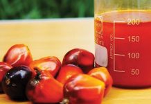 Ekiti Govt Urges Farmers To Adopt Sustainable Palm Oil Production