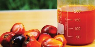 Ekiti Govt Urges Farmers To Adopt Sustainable Palm Oil Production