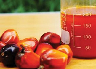 Nigeria partners with investors to save $500m on palm oil imports