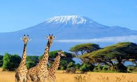 Helicopter Crash On Mount Kilimanjaro Kills Five