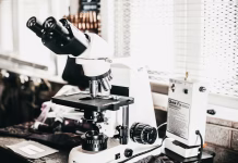 Thymagen: A Speculative Survey Of Peptide Mechanisms And Research Prospects