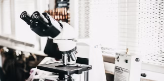 Thymagen: A Speculative Survey Of Peptide Mechanisms And Research Prospects