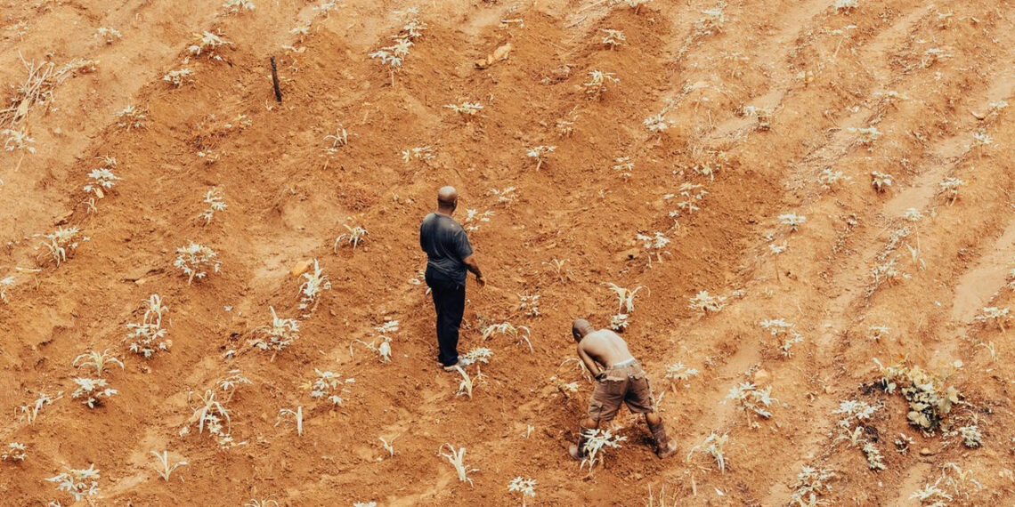 NADF Partners Leadway, Verdure Climate On Climate-Smart Farmer Financing