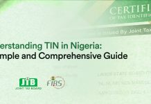 How To Get Your Personal Tax Identification Number In Nigeria (Step-by-Step Guide)