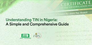 How To Get Your Personal Tax Identification Number In Nigeria (Step-by-Step Guide)
