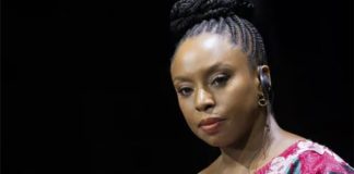 Adichie Initiates Legal Action Against Lagos Hospital Over Son’s Death, Triggers State Probe