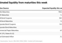 FG To Repay Over ₦1 Trillion To Bond Investors In January