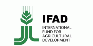 IFAD Seeks Strategic Investment In Youth, Women In Agriculture