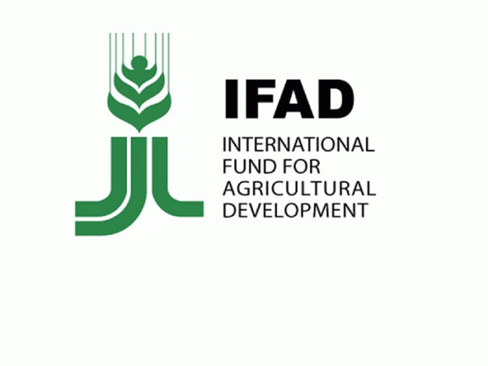 IFAD