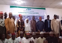 NEPC Urges Shift to Value Addition As Nigeria Moves To Boost Gemstone Export Earnings