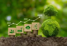 Nigeria targets $2.5 billion in carbon credit investments by 2030