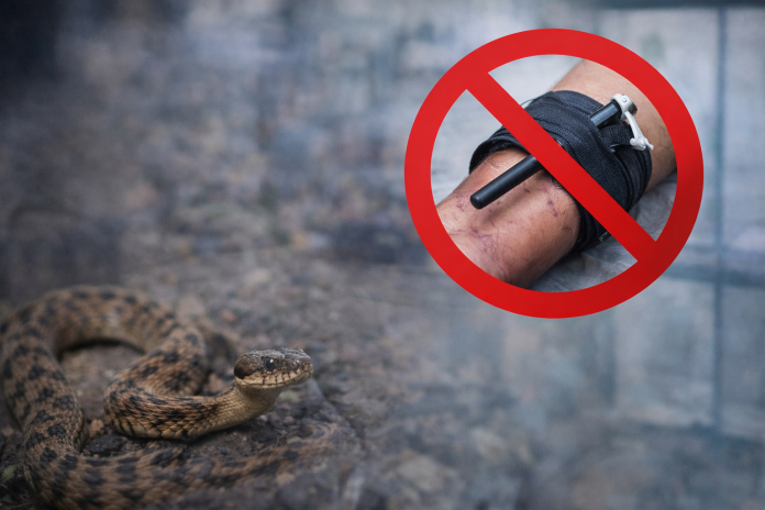 ChatGPT Image Mar 18, 2026, 02_37_14 PM