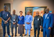 Customs advocates impact-driven reform communication at WCO capacity building session