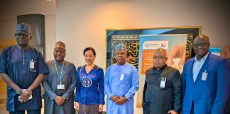 Customs advocates impact-driven reform communication at WCO capacity building session