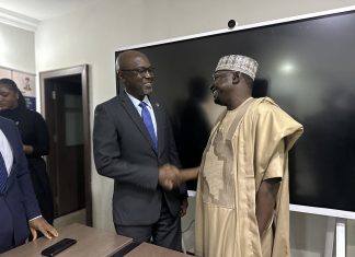 Nigerian banks to lead renewable financing