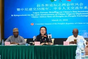 Nigeria, China relations evolved into strong, multifaceted partnership — expert