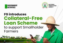 FG launches collateral-free loan scheme to empower smallholder farmers