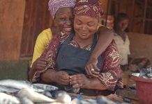 7 SME loans Nigerian businesses can access without property collateral in 2026