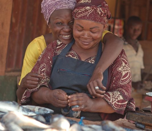 Top 7 SME loans Nigerian businesses can access without property collateral in 2026