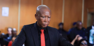 Malema sentenced to five years over firearm discharge at rally