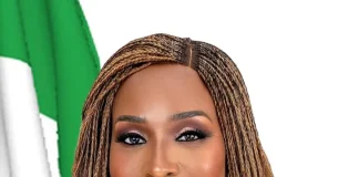 Nigeria’s envoy calls for African unity to mark Freedom Day in Johannesburg