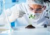 Expert seeks stronger biosafety framework as Nigeria explores biotechnology gains