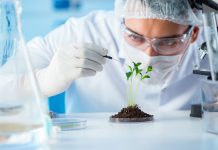 Expert seeks stronger biosafety framework as Nigeria explores biotechnology gains