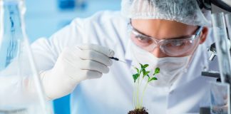 Expert seeks stronger biosafety framework as Nigeria explores biotechnology gains