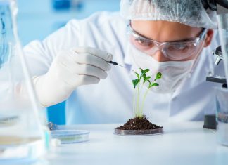 Expert seeks stronger biosafety framework as Nigeria explores biotechnology gains