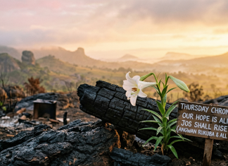 Thursday Chronicles: The Plateau’s Easter shadow – a call for common ground