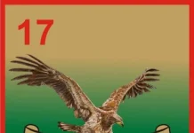 Army debunks sabotage claims, clarifies circumstances surrounding Soldier’s death in Katsina