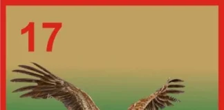 Army debunks sabotage claims, clarifies circumstances surrounding Soldier’s death in Katsina